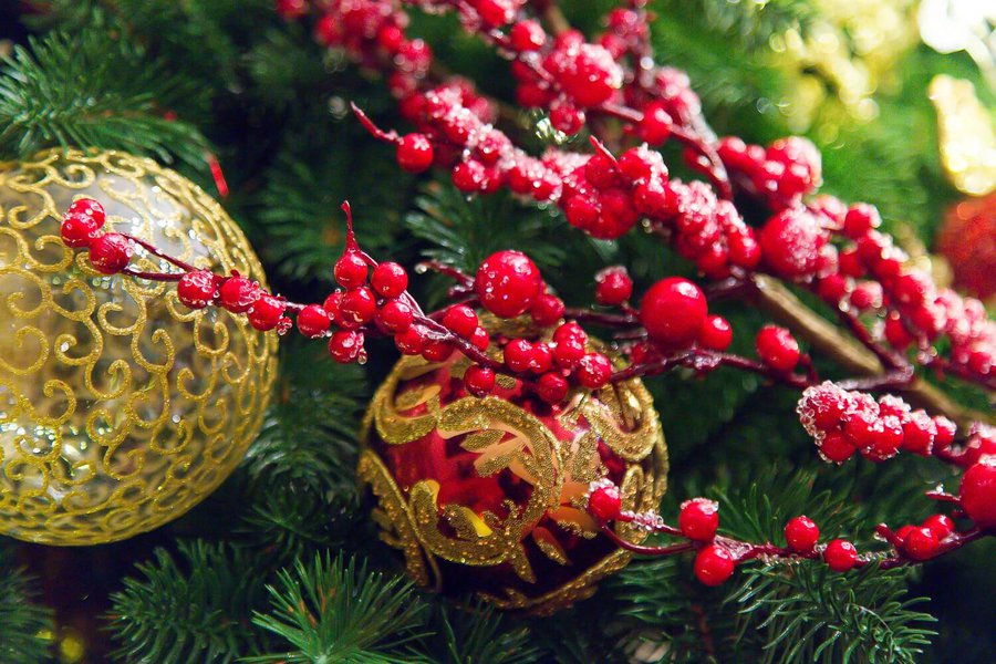 Red and Gold Decoration
