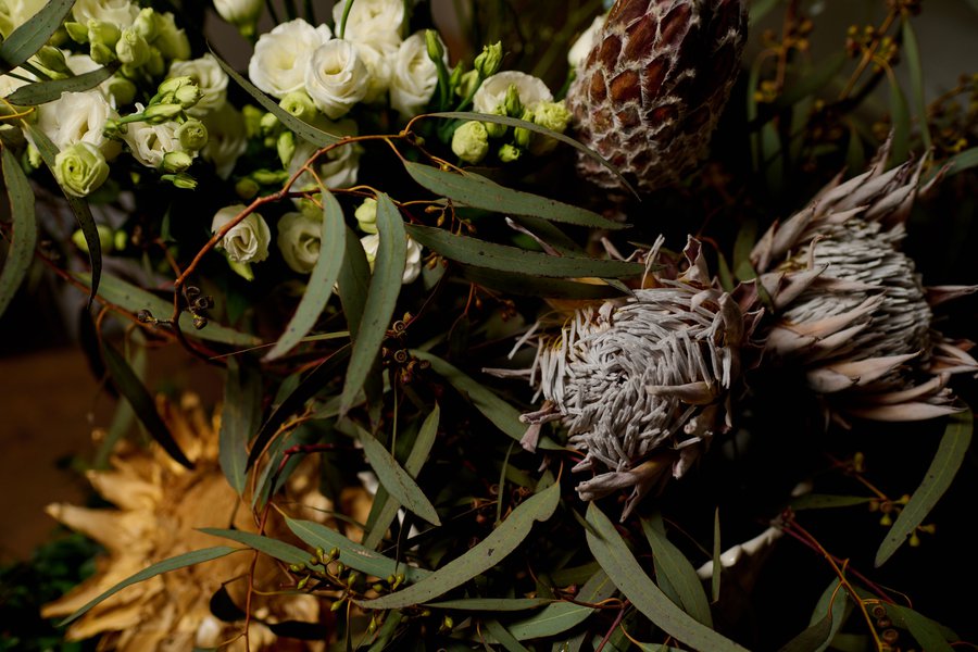 Presentation of the new collection Lake Studio THE SEEDS