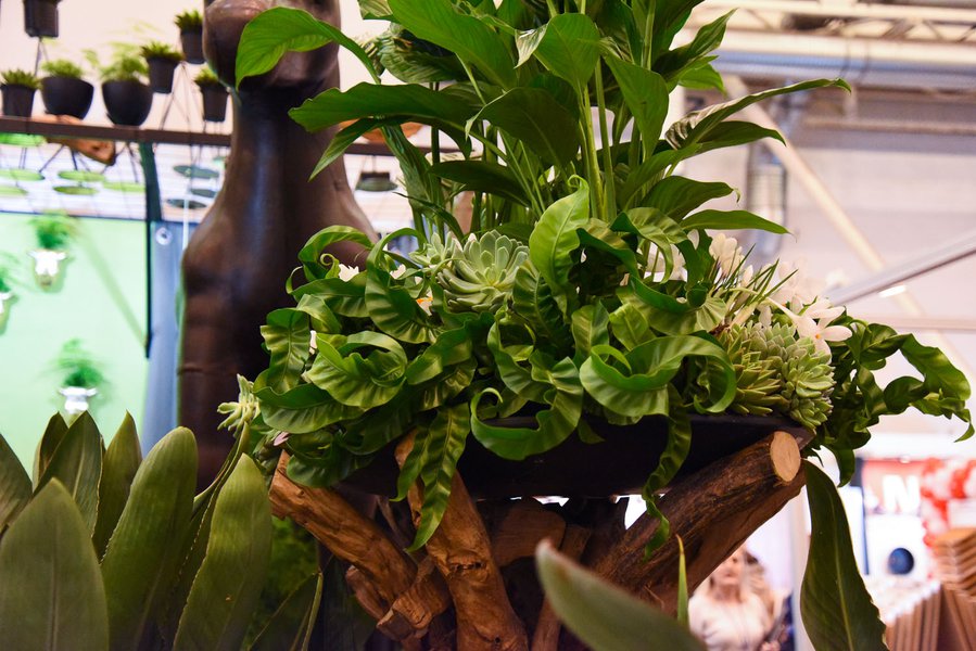 LoraShen на меблевому форумі Kiff 2019