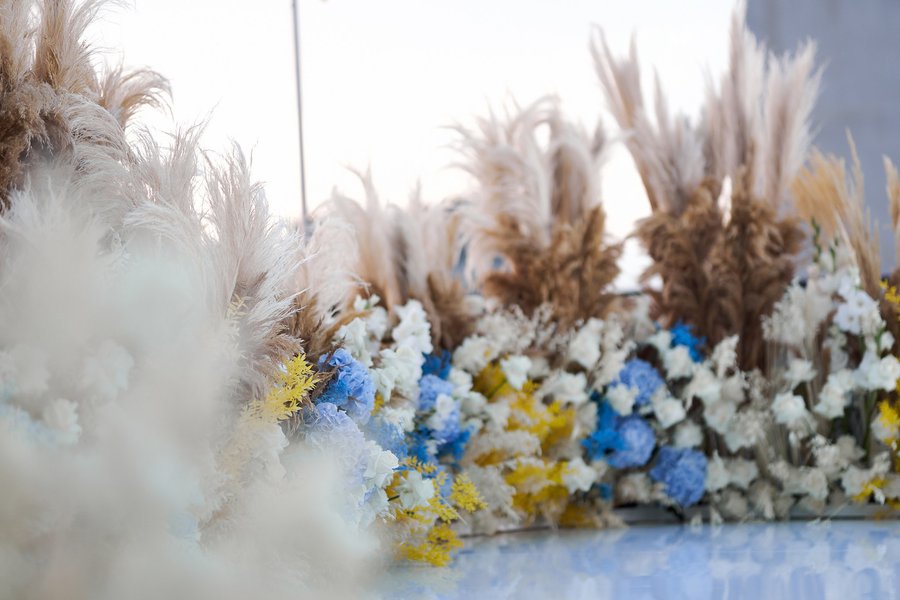 Modern Ukrainian field: decoration of the ether "Breakfast with 1+1" to the Independence Day of Ukraine