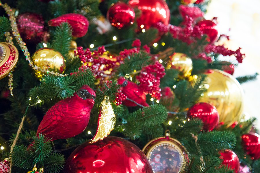 Christmas tree in the Mariinsky Palace