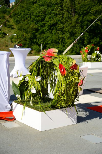 AVIS car event
