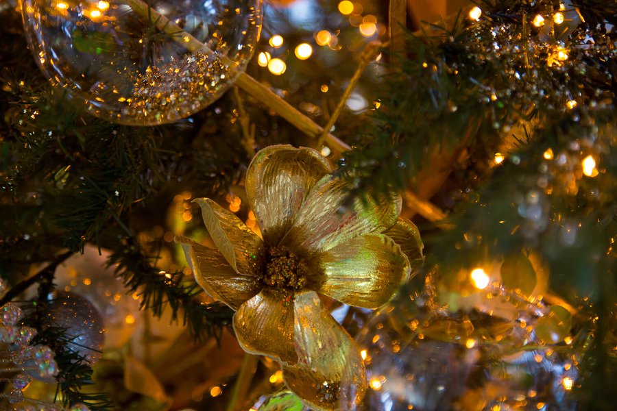 Boryspil Airport Business Terminal New Year Decoration
