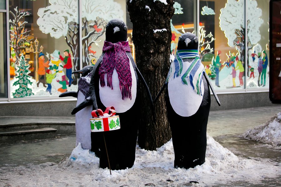 Winter decoration for Lviv Roshen Store 2017