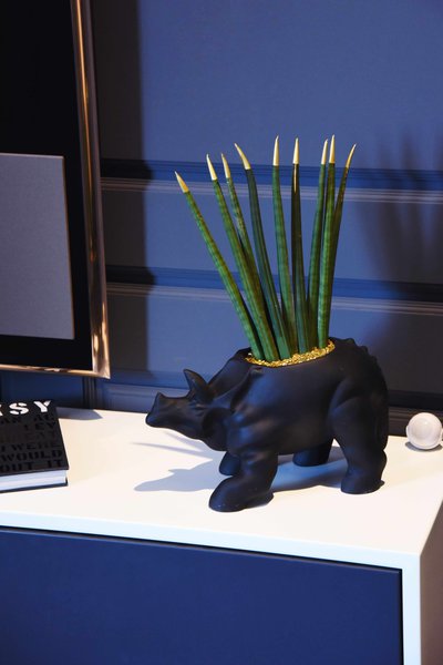 ANIMAL LAND ceramics collection from LoraShen
