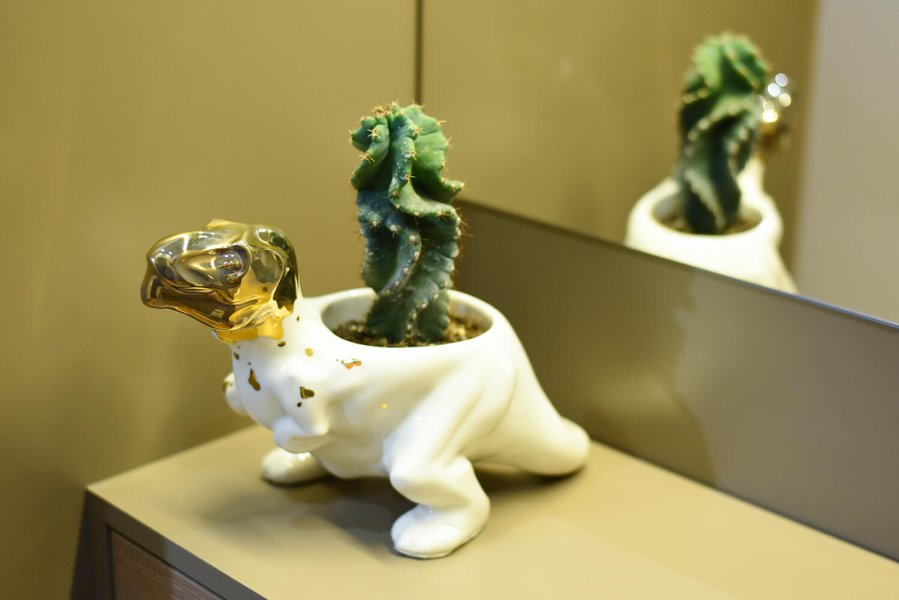 Animal Land Glossy Collection