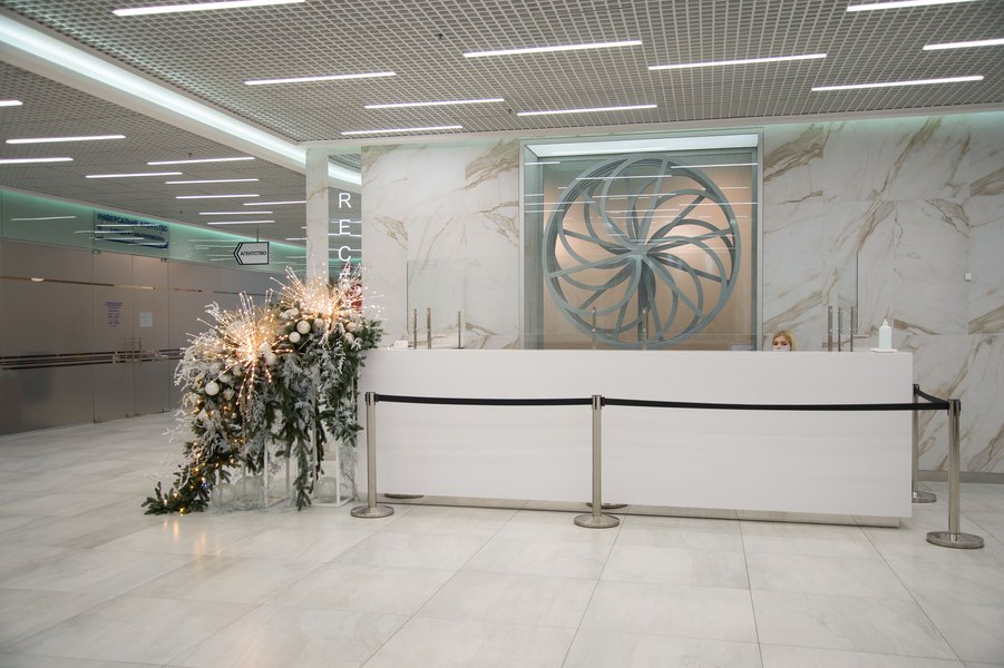 New Year's fusion for business center "Leonardo"