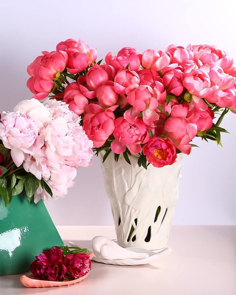 Collection of vases Botanical Touch