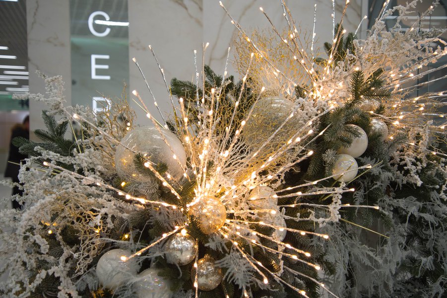 New Year's fusion for business center "Leonardo"