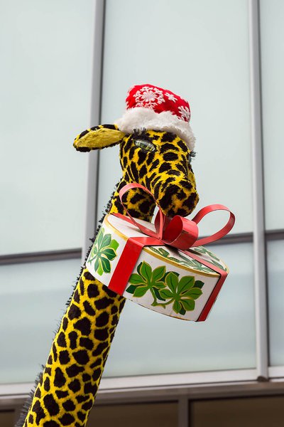 Winter decoration for Vinnytsia Roshen Store 2017