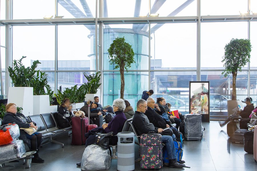 Landscaping at "Boryspil" airport