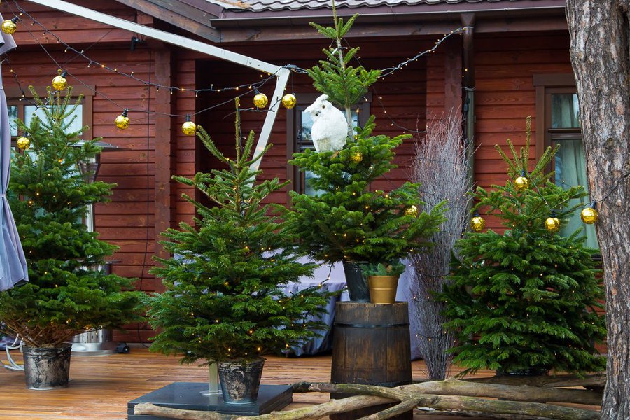 Private decoration in the "House in the mountains" style