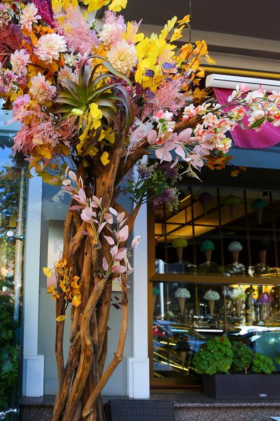 Flowering tree for the confectionery "Kalina"