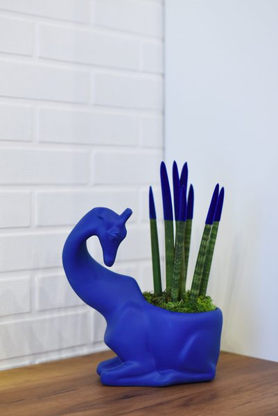 Animal Land Glossy Collection