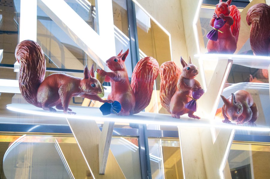 Squirrels love candy: a new display format for the Roshen chain of stores