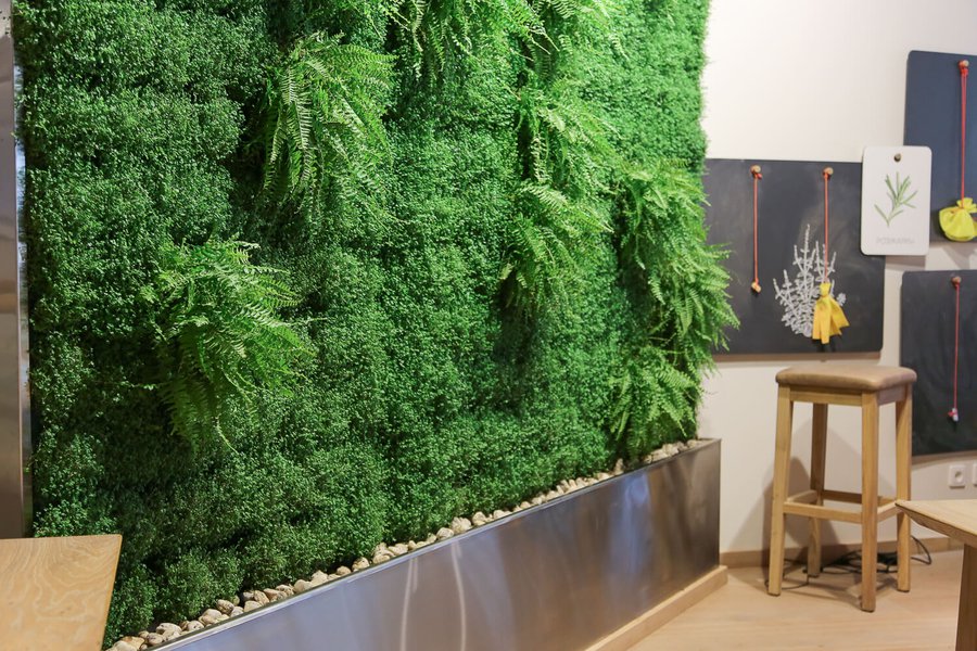 Озеленение ресторана VAPIANO