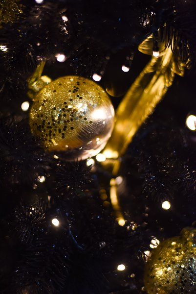AVIS New Year's Corporate Party 2019