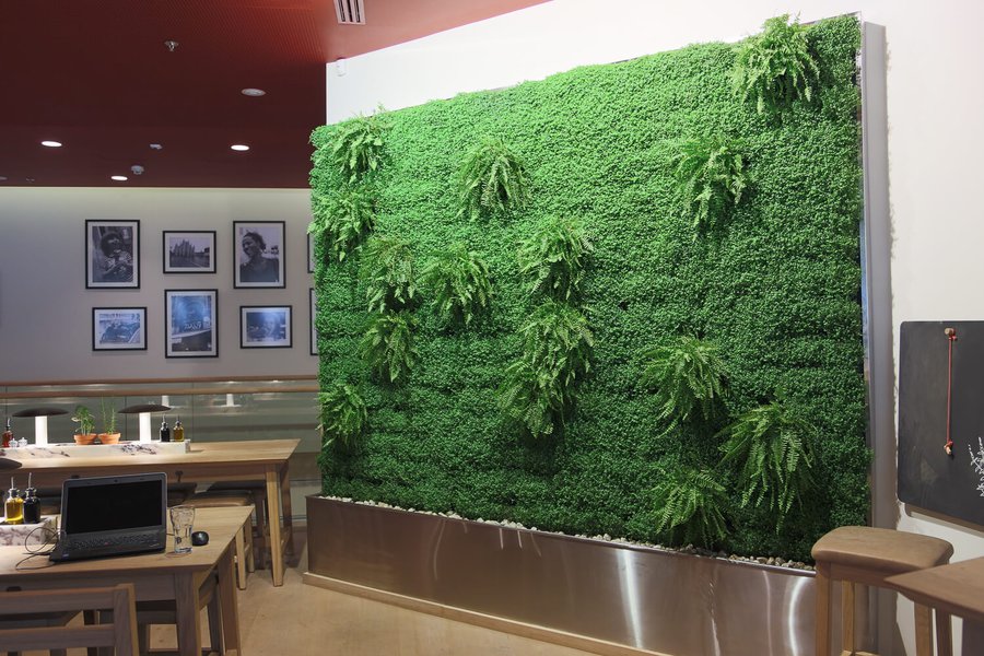 Озеленение ресторана VAPIANO