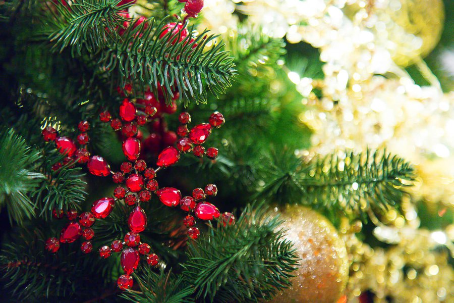 Red and Gold Decoration