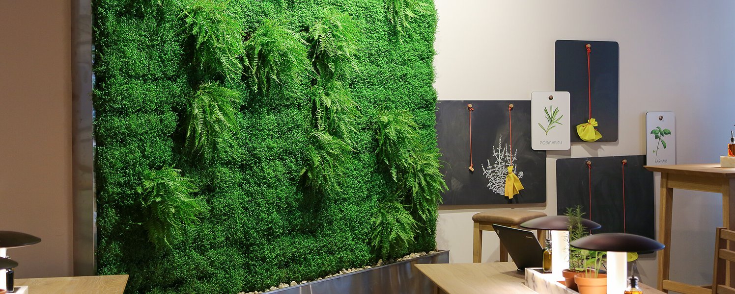 Озеленение ресторана VAPIANO