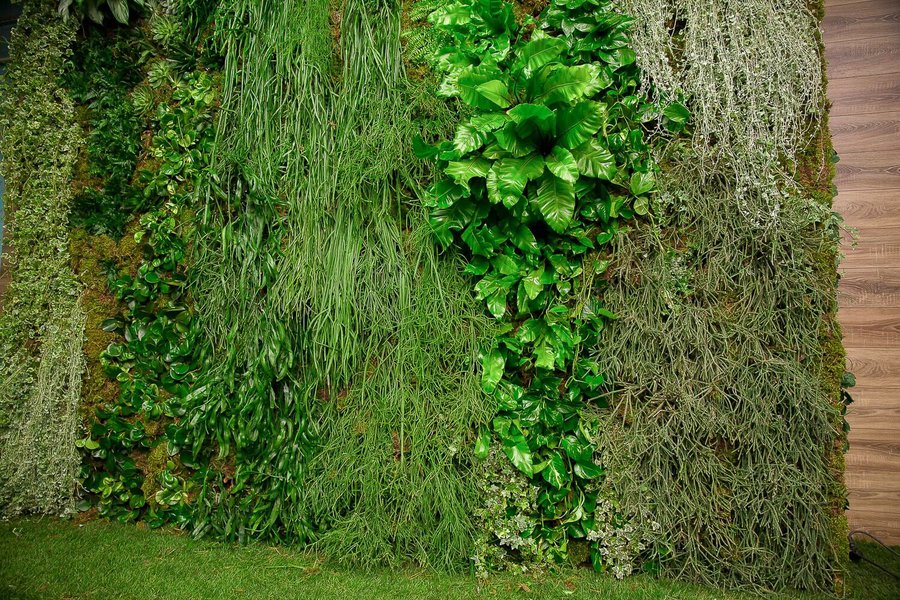 Plant Walls