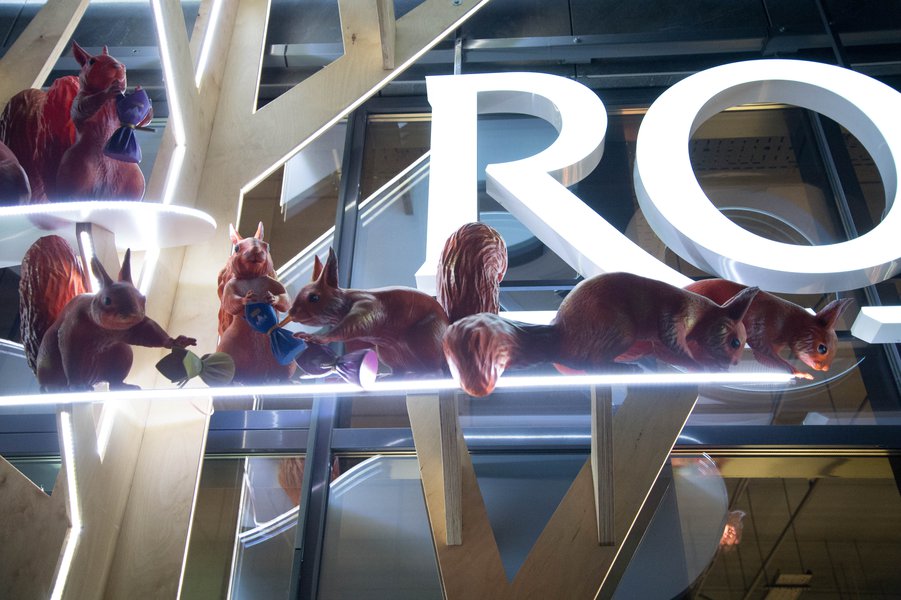 Squirrels love candy: a new display format for the Roshen chain of stores