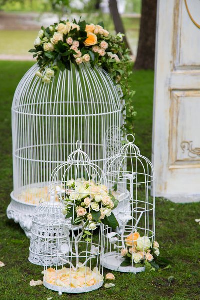 За хвилину до церемонії
