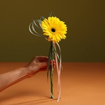 Bouquet for the teacher "Charm of Autumn"
