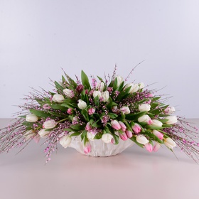 Composition of 101 white-pink tulips in a vase
