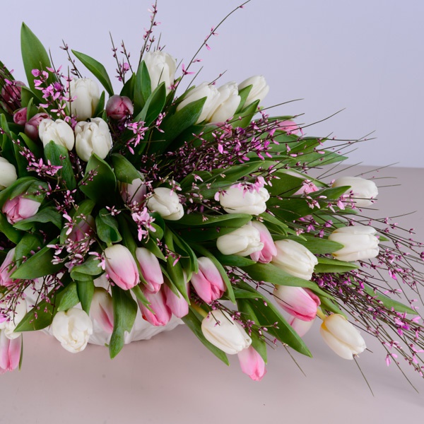 Composition of 101 white-pink tulips in a vase
