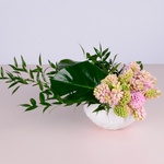 Hyacinths in an a vase bowl