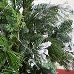 Bouquet of winter needles in a vase