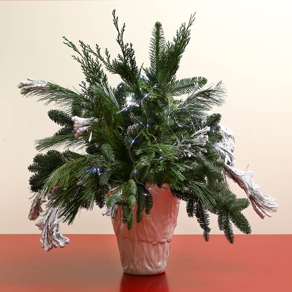 Bouquet of winter needles in a vase