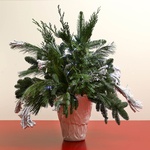 Bouquet of winter needles in a vase