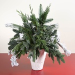 Bouquet of winter needles in a vase