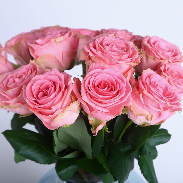 Flowers in a "Pink Dream" vase