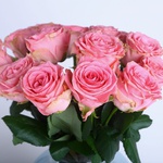 Flowers in a "Pink Dream" vase
