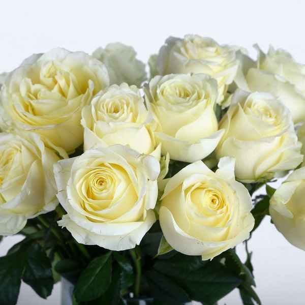 Flowers in a vase "Snow tenderness"