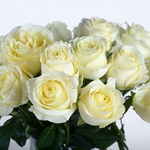 Flowers in a vase "Snow tenderness"