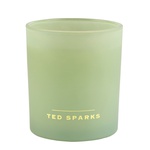 Bergamot & Angelica candle - Ted Sparks