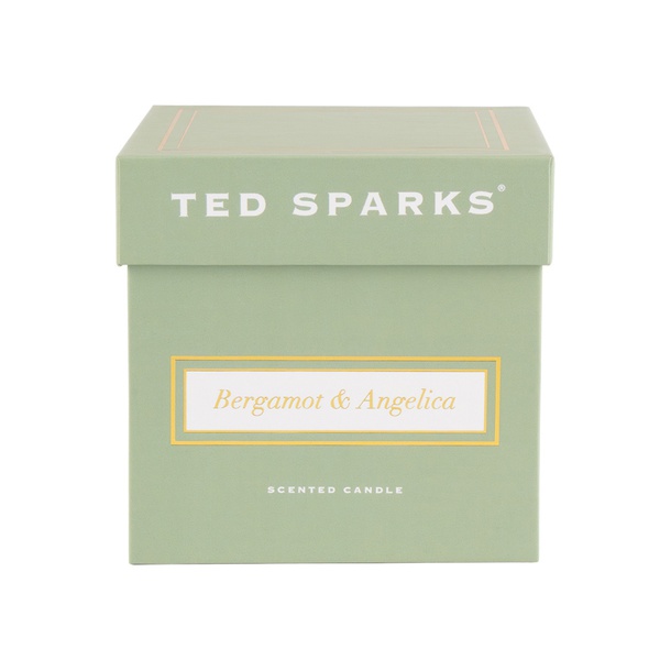 Bergamot & Angelica candle - Ted Sparks
