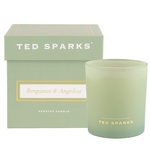 Bergamot & Angelica candle - Ted Sparks