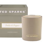 Свеча "Тонко&Перец" - Ted Sparks