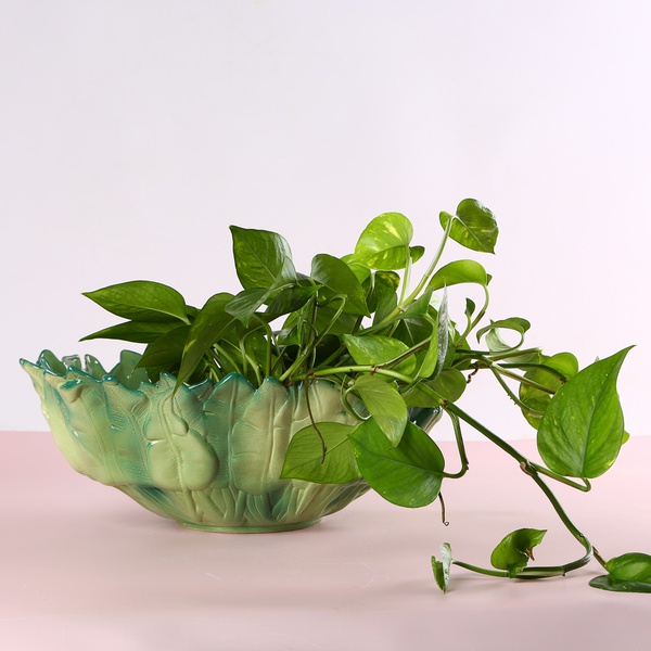 Ceramic vase hemisphere "Botanical Touch" green