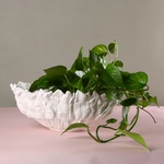 Ceramic vase hemisphere "Botanical Touch"