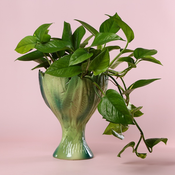 Керамічна ваза-тюльпан "Botanical Touch" зелена