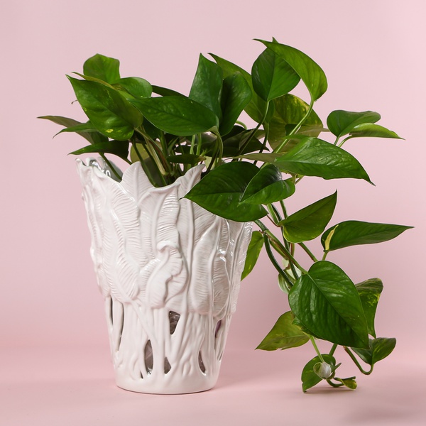 Керамічна ваза "Botanical Touch" біла з отворами