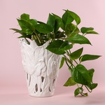 Керамічна ваза "Botanical Touch" біла з отворами