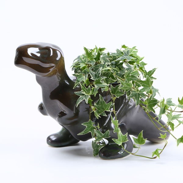 Dino planter dark green gradient
