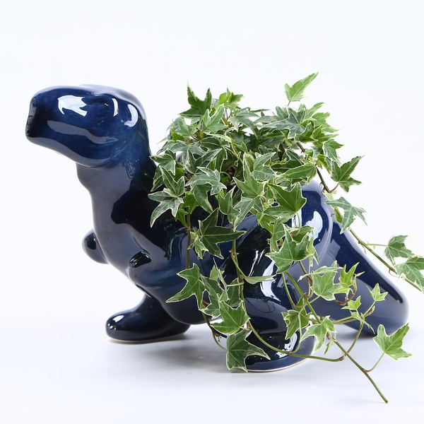 Dino blue planter